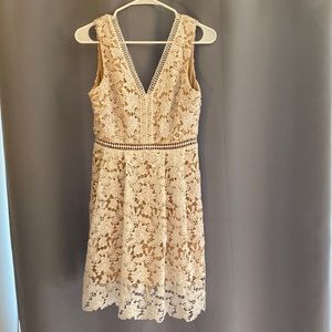 White lace above-the-knee dress